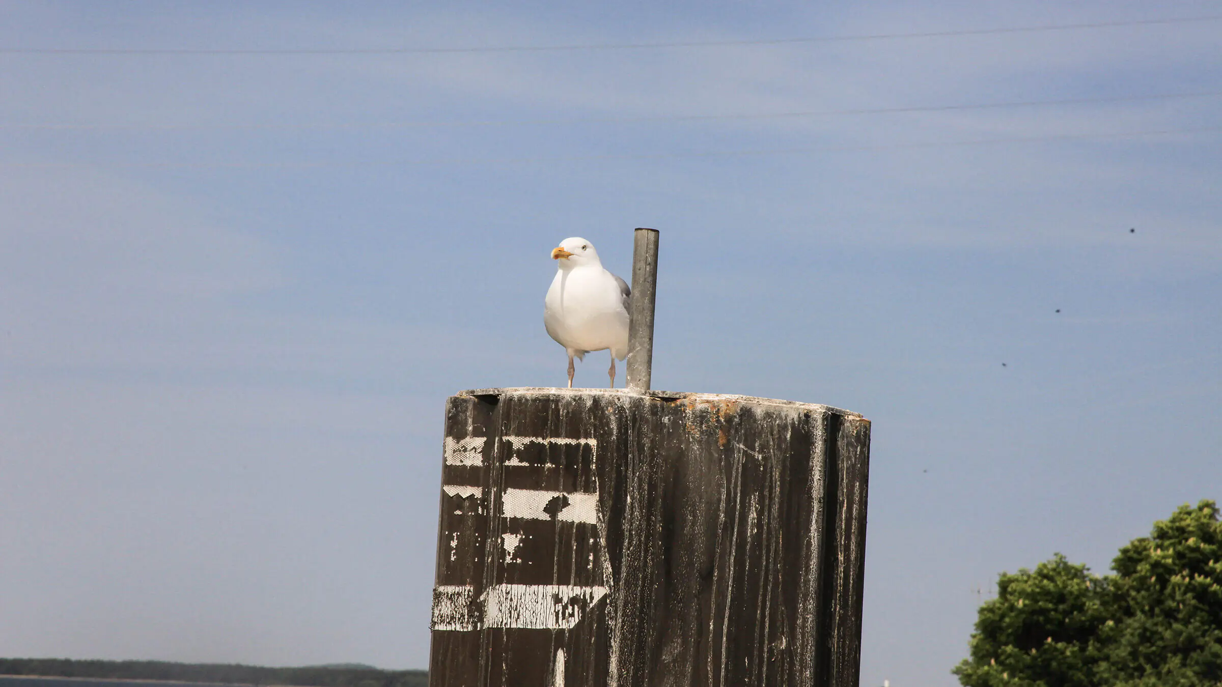 Allgemeine Geschäftsbedinungen der KoePe Ferienhaus GbR